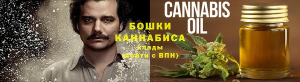 хмурый Гусь-Хрустальный
