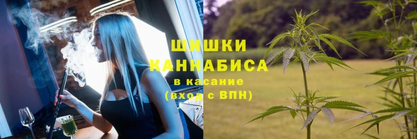 дживик Гусев