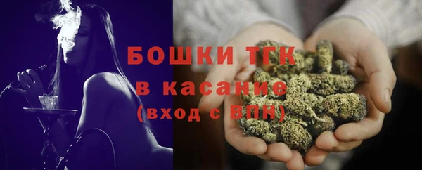 шишки Гусиноозёрск