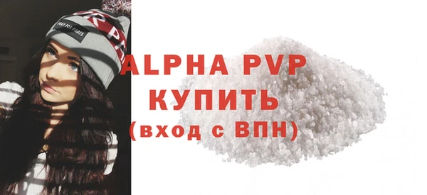 шишки Гусиноозёрск