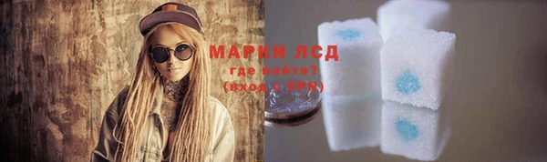 шишки Гусиноозёрск