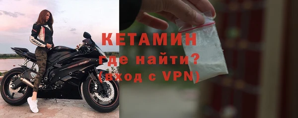 шишки Гусиноозёрск