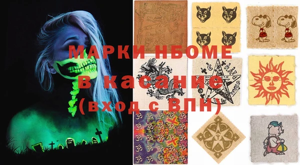 шишки Гусиноозёрск