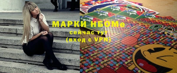 шишки Гусиноозёрск