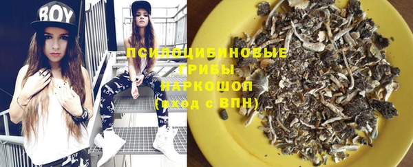 шишки Гусиноозёрск