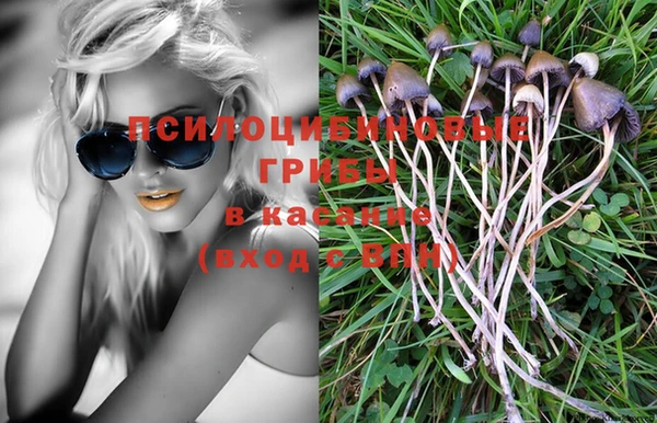 хмурый Гусь-Хрустальный