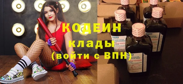 шишки Гусиноозёрск