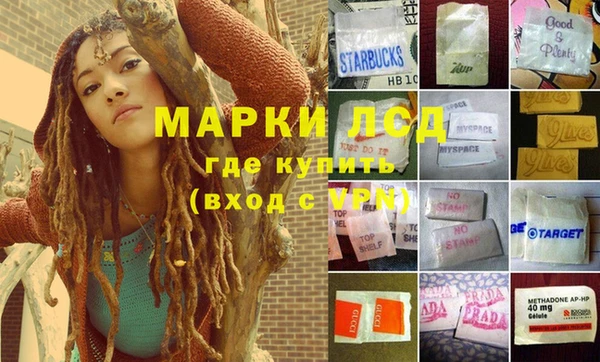 шишки Гусиноозёрск