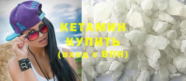 шишки Гусиноозёрск