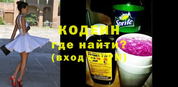 хмурый Гусь-Хрустальный