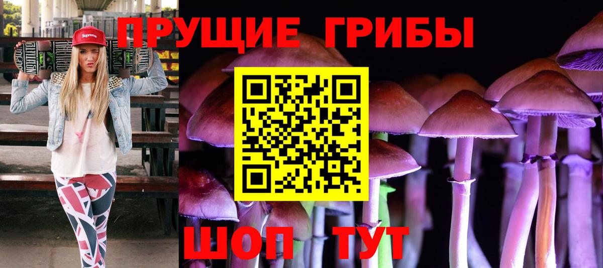 Псилоцибиновые грибы MAGIC MUSHROOMS  Галлюциногенные грибы MAGIC MUSHROOMS  Дербент 