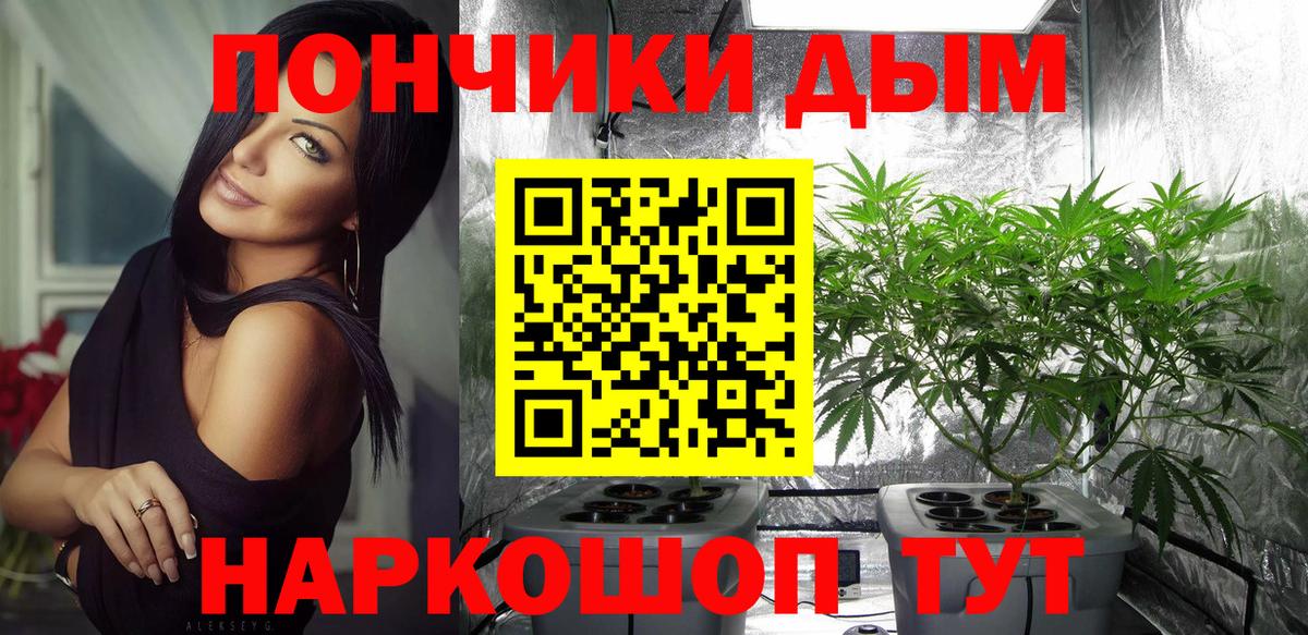 Шишки марихуана марихуана  Канабис семена  Канабис сатива  Дербент  Бошки марихуана THC 21% 